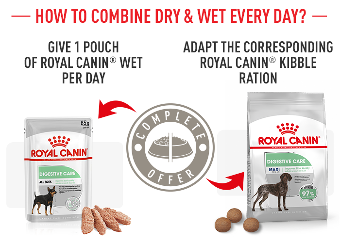 Zooplus royal best sale canin maxi puppy